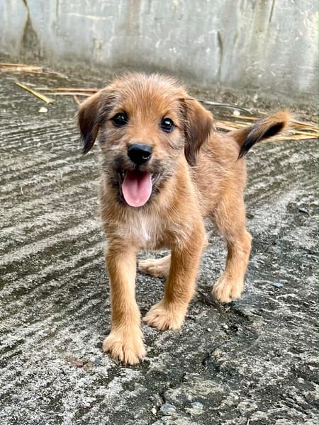 YOUPI, joyeux bébé