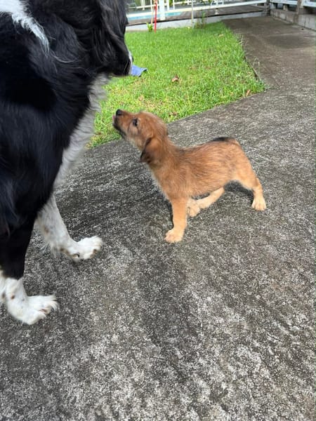 YOUPI, joyeux bébé