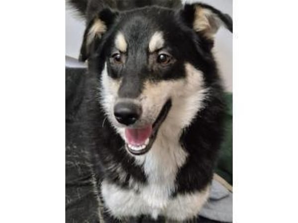 Marie - wartet in 67663 Kaiserslautern