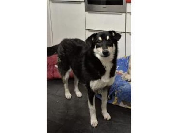 Marie - wartet in 67663 Kaiserslautern