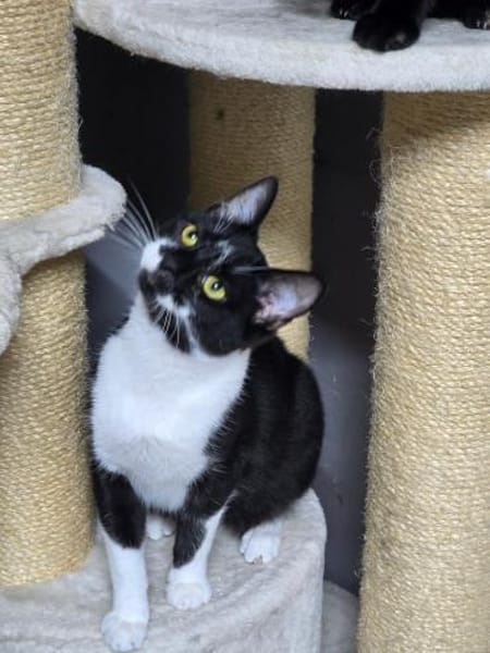 TOBI - mag es lieber etwas entspannter!