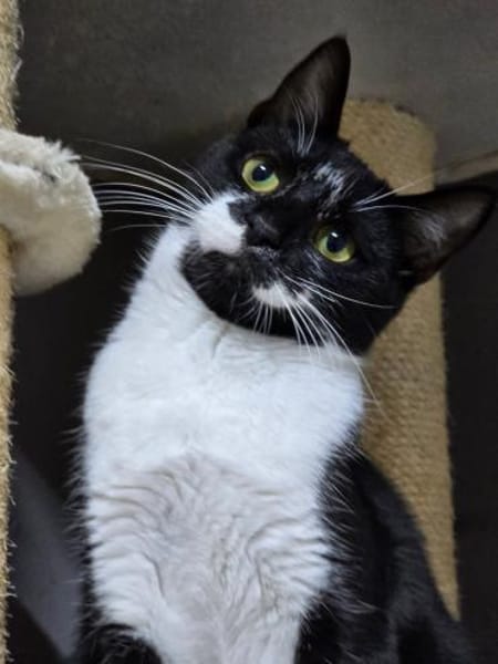 TOBI - mag es lieber etwas entspannter!