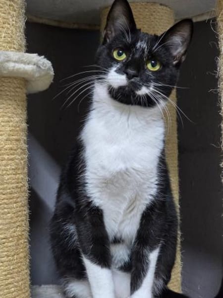 TOBI - mag es lieber etwas entspannter!