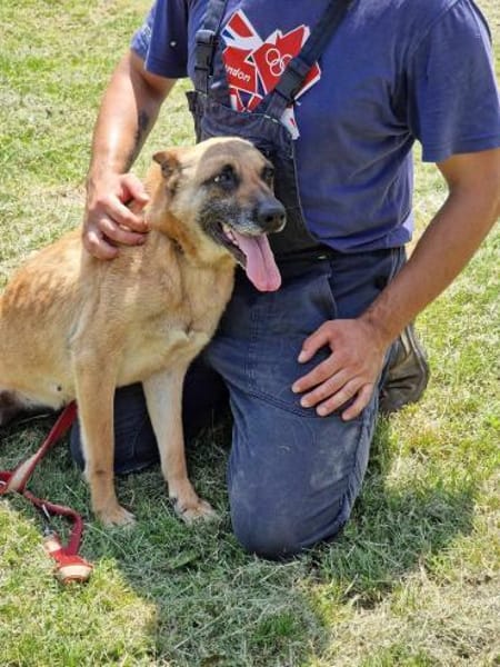 Notfallhund RUBY sucht ♥  ‼🆘‼