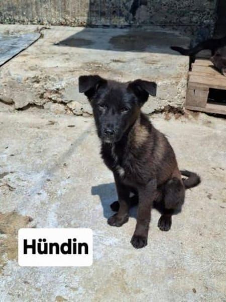 Whoopi - hat ein großes Herz