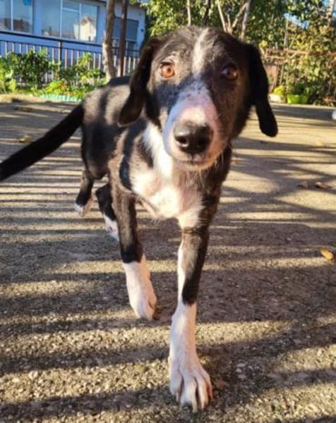 Genießerschnute ♥Mona♥ in 01640 Coswig