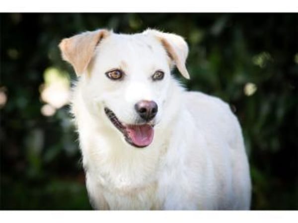 Nadirah - wartet in 35460 Staufenberg