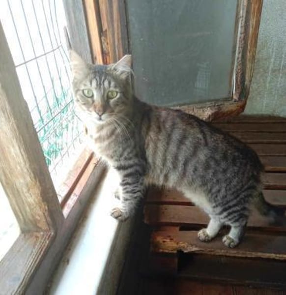 CAKIR & TOPRAK - auch Einzelvermittlung