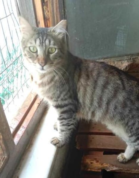 CAKIR & TOPRAK - auch Einzelvermittlung