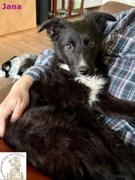 Jana  das kluge Köpfchen