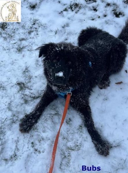 Bubs  zu zweit ist man nicht mehr ...