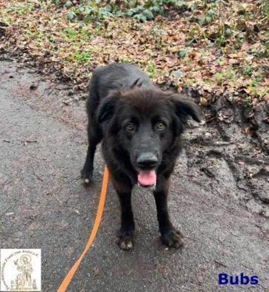 Bubs  zu zweit ist man nicht mehr ...