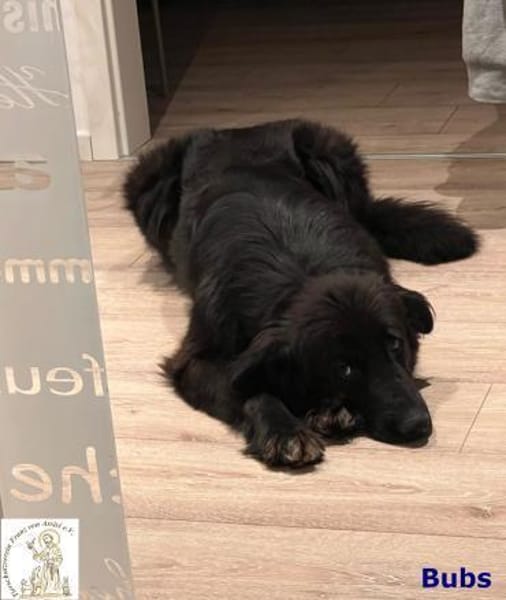 Bubs  zu zweit ist man nicht mehr ...