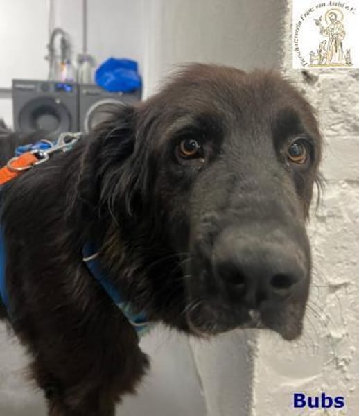 Bubs  zu zweit ist man nicht mehr ...