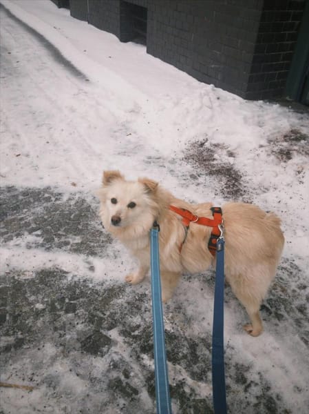 Lisett wartet auf PS in Berlin!