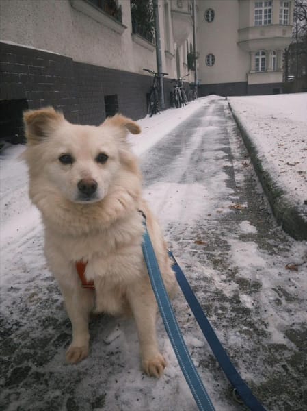 Lisett wartet auf PS in Berlin!