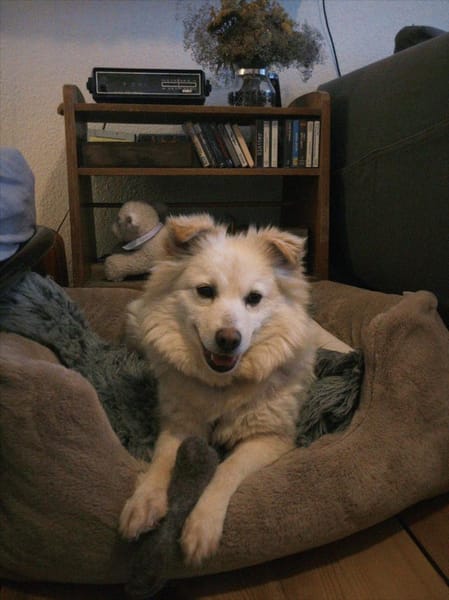 Lisett wartet auf PS in Berlin!