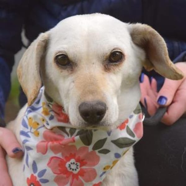 Bonitta wartet in Berlin!