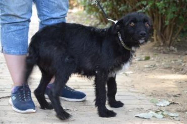 Litschi - liebenswert & freundlich