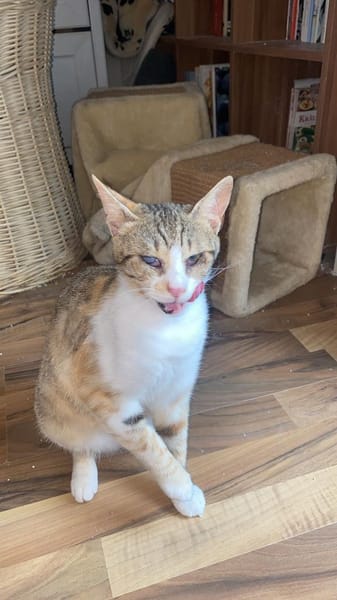 Sissy & Max Hundefreunde