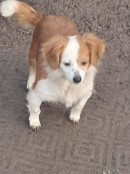 Ulita, kleine Schönheit sucht Zuhause