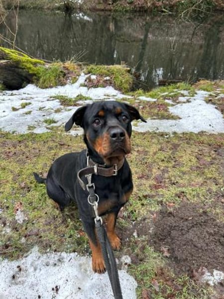 EMMA, sie möchte noch viel lernen