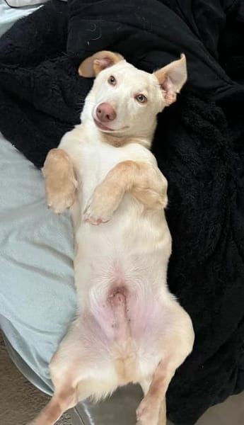 Francky Stanley, geb 8/25, 81929 München