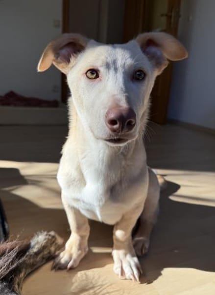 Francky Stanley, geb 8/25, 81929 München