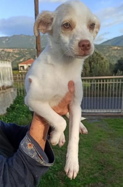 Kleine Tessa sucht Traumzuhause