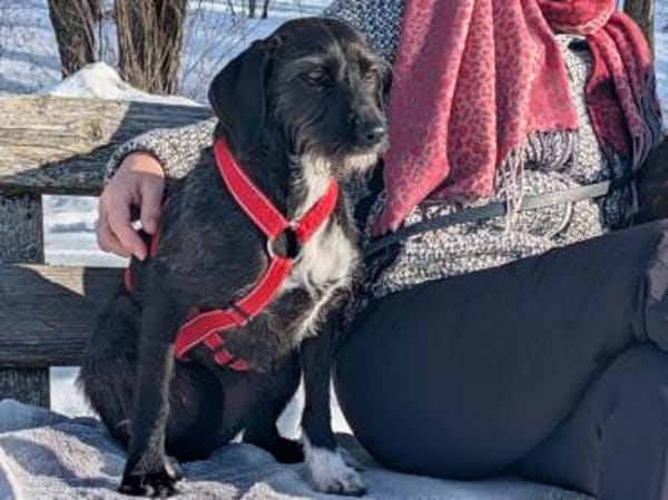 Schenken Sie Axa ihr Traumzuhause?