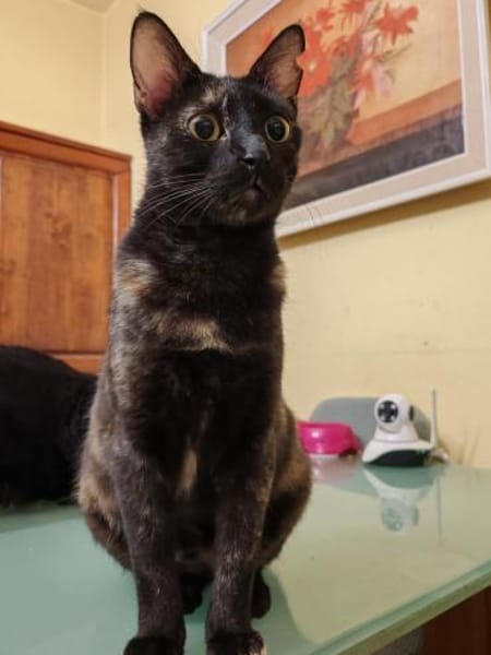 Nora sucht ihr Glück