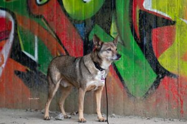 Aaron - auf der Suche nach dem Glück