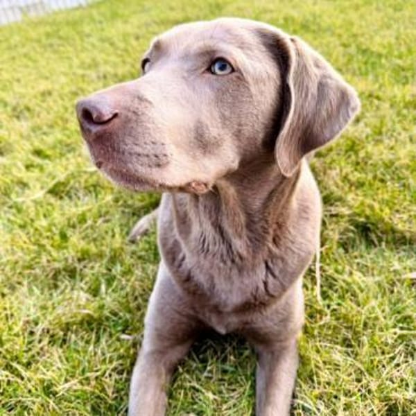 Lia - die Wasserratte