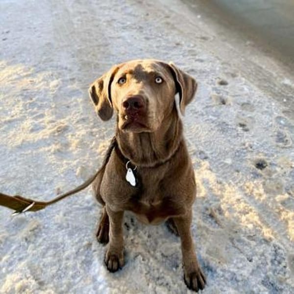 Lia - die Wasserratte