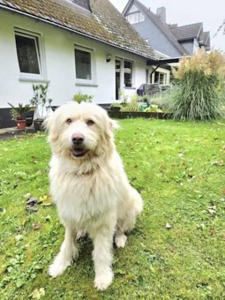 TWIST - zur Pension in Hessen