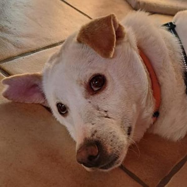 Cody ♥ gehst du mit mir meinen Weg?