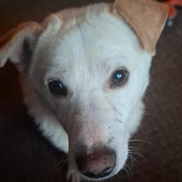 Cody ♥ gehst du mit mir meinen Weg?