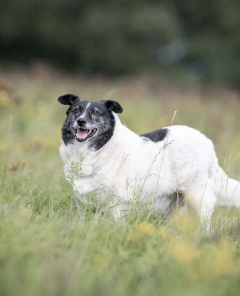 Ginny sucht ihre Familie