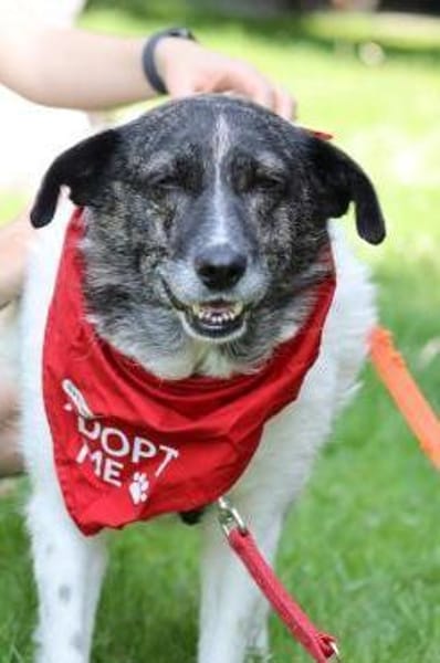 Ginny sucht ihre Familie