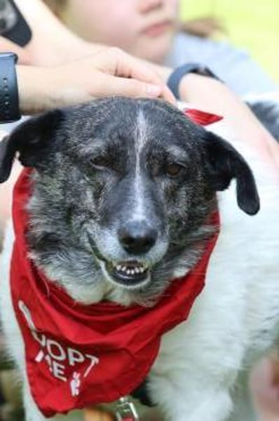 Ginny sucht ihre Familie