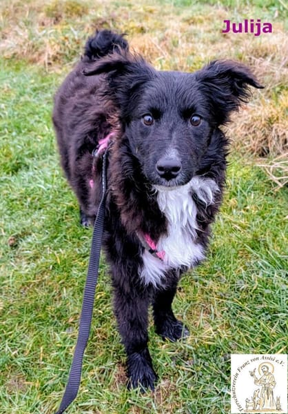 Julija  aufgeweckte und kluge ...