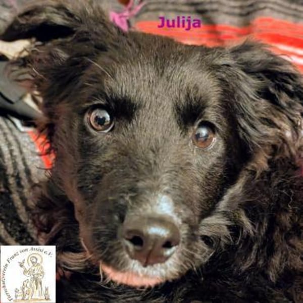 Julija  aufgeweckte und kluge ...