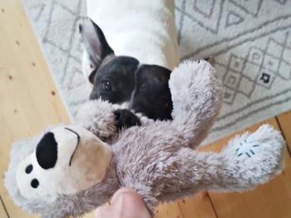 Mark, lernfreudig, freundlich, offen