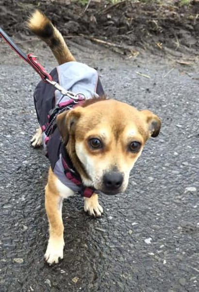 Kleiner verschmuster Elio...