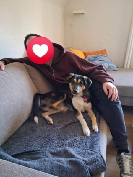 aktive Alma auf PS in 69493