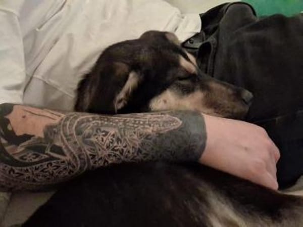 aktive Alma auf PS in 69493