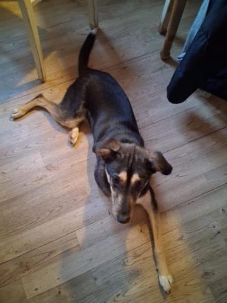 aktive Alma auf PS in 69493