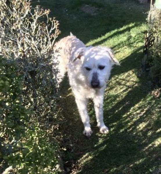 DIAMOND sucht sein Singlekörbchen