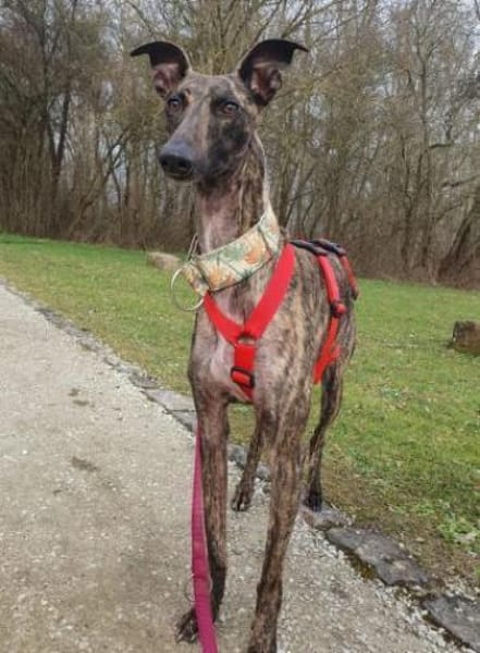 Die strahlende Nani❤