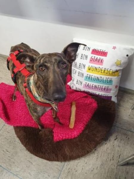 Die strahlende Nani❤